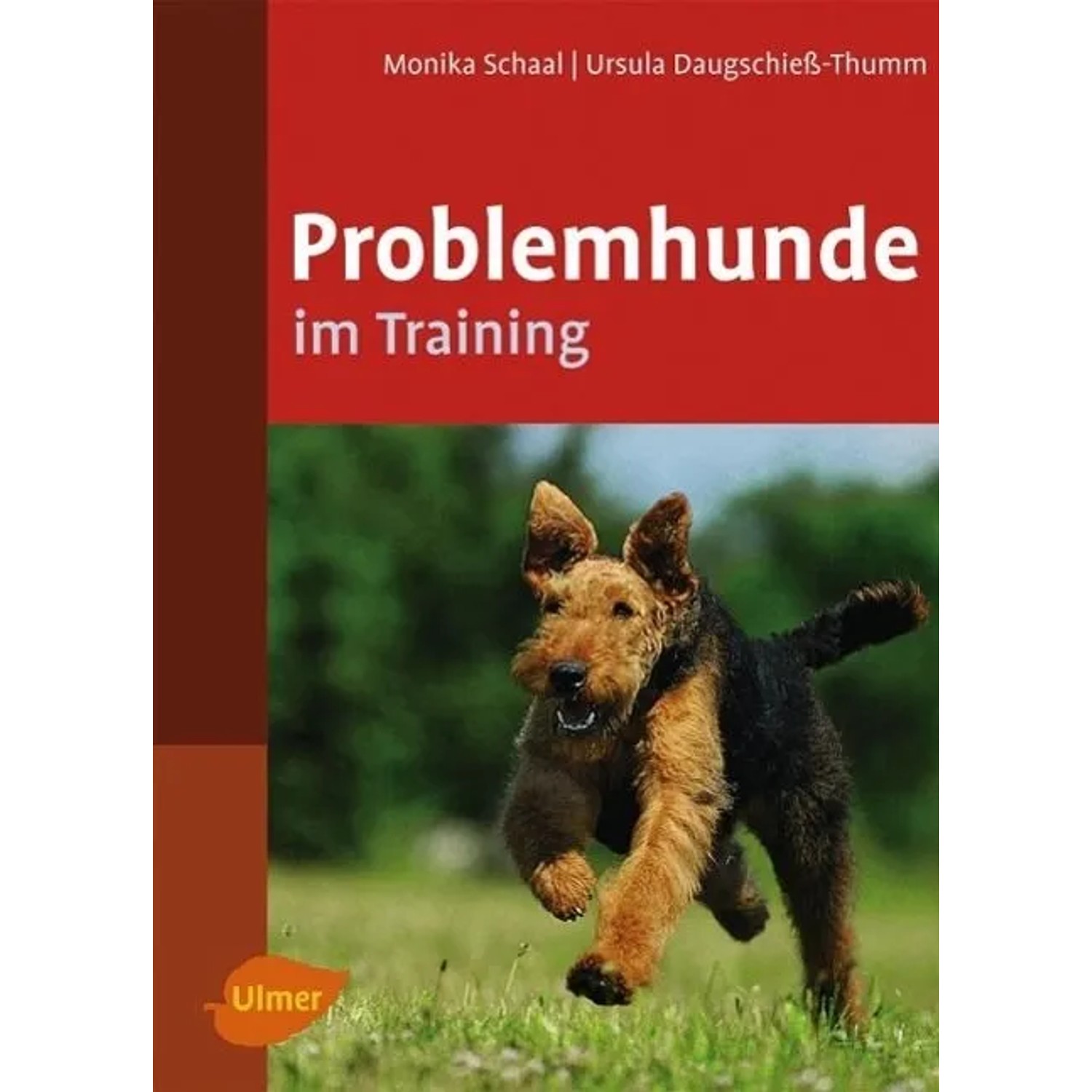 Problemhunde im Training