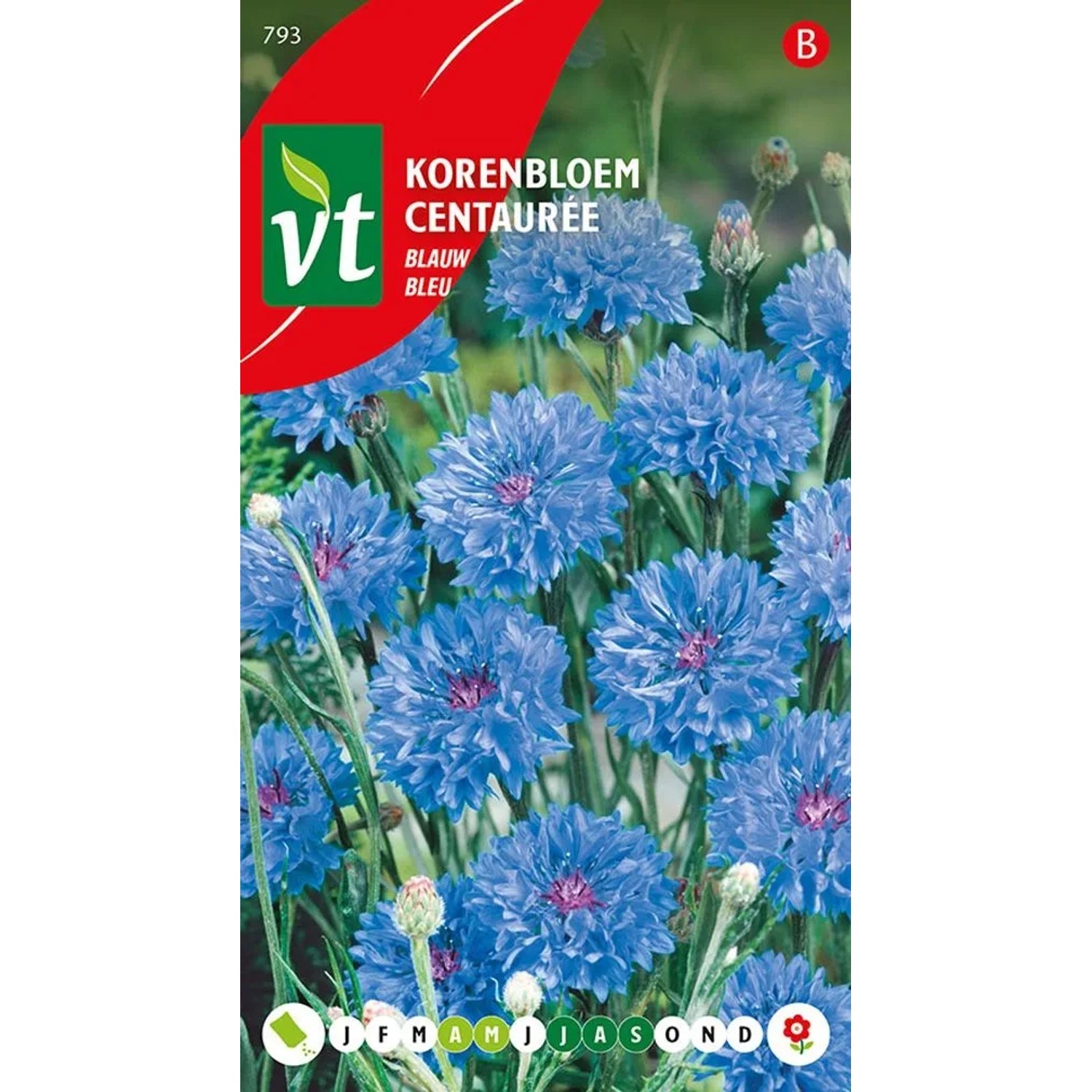 Kornblume Samen Ca. 1 g Blaue Blüten