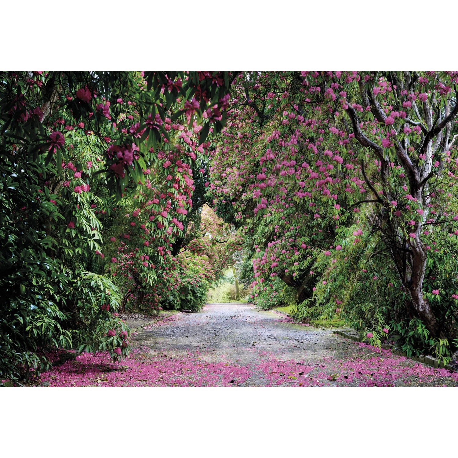 Komar Fototapete Wicklow Park 368 cm x 254 cm FSC®