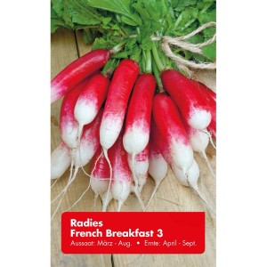 Radieschen 'French Breakfast 3': Bund rot-weiße Radieschen mit Grün, Gemüsesamen für den Garten.