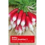Radieschen 'French Breakfast 3': Bund rot-weiße Radieschen mit Grün, Gemüsesamen für den Garten.