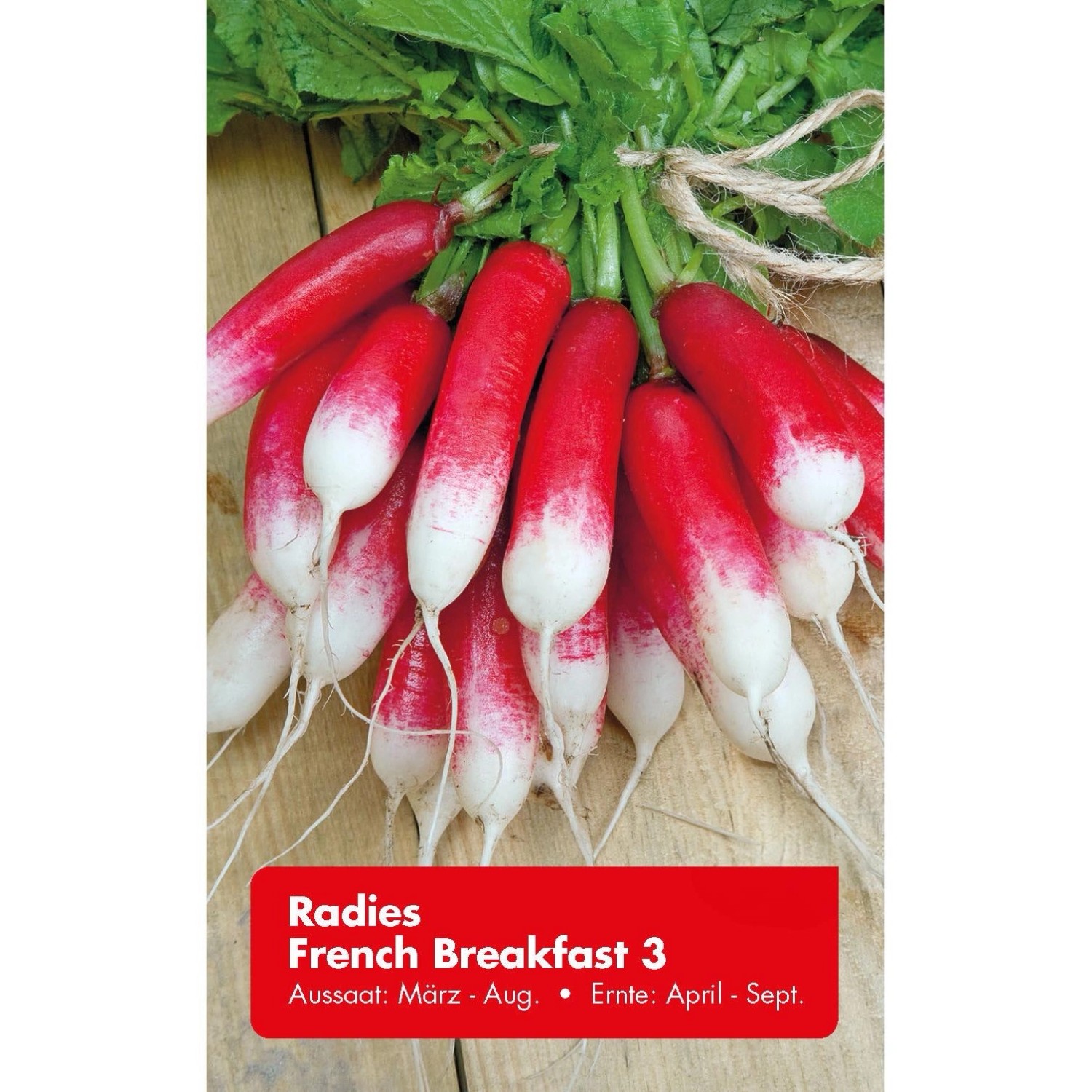 Radies French Breakfast 3 Zoll
