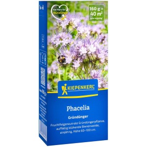 Phacelia kaufen bei OBI