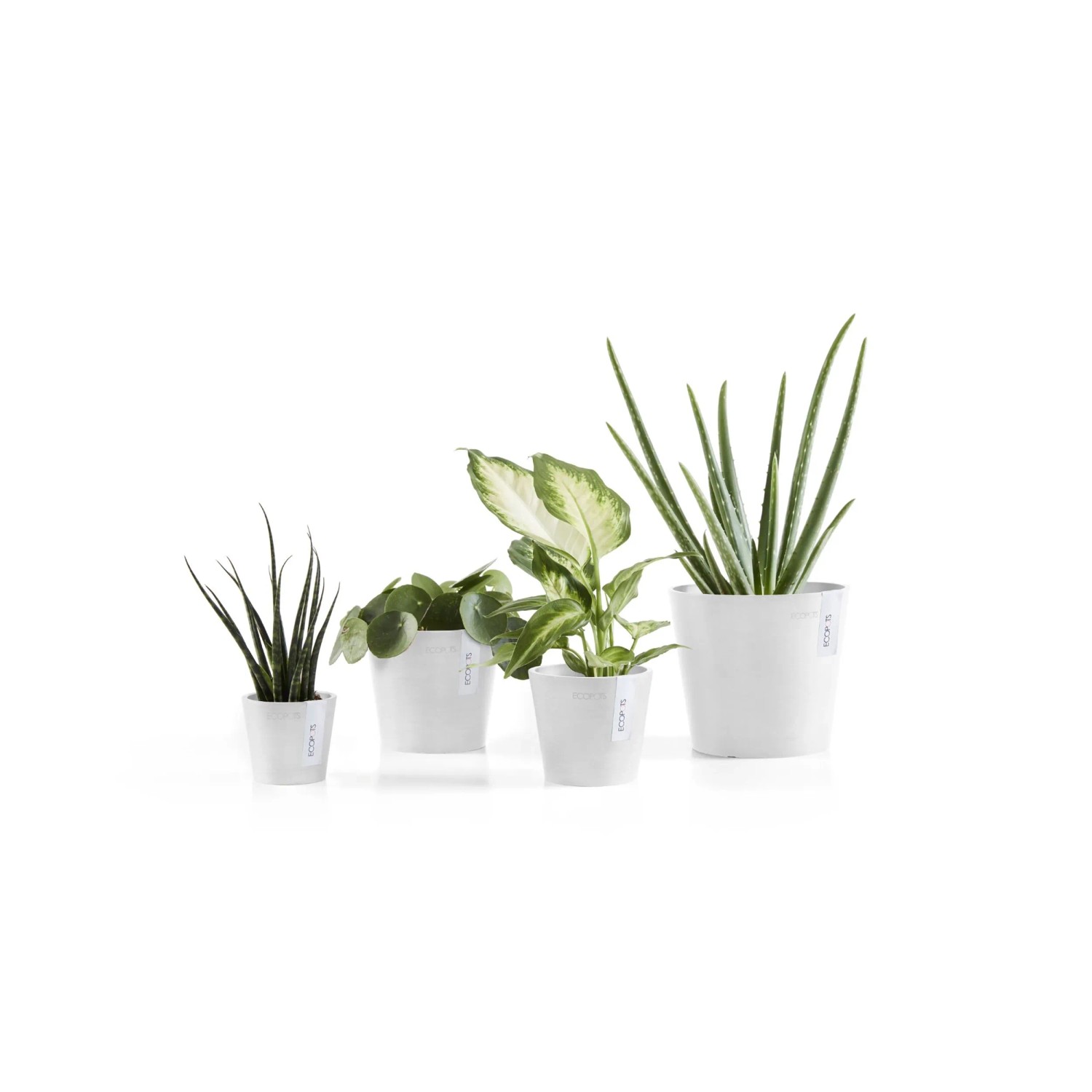Ecopots Amsterdam Mini, weiße Blumentöpfe mit verschiedenen Zimmerpflanzen.