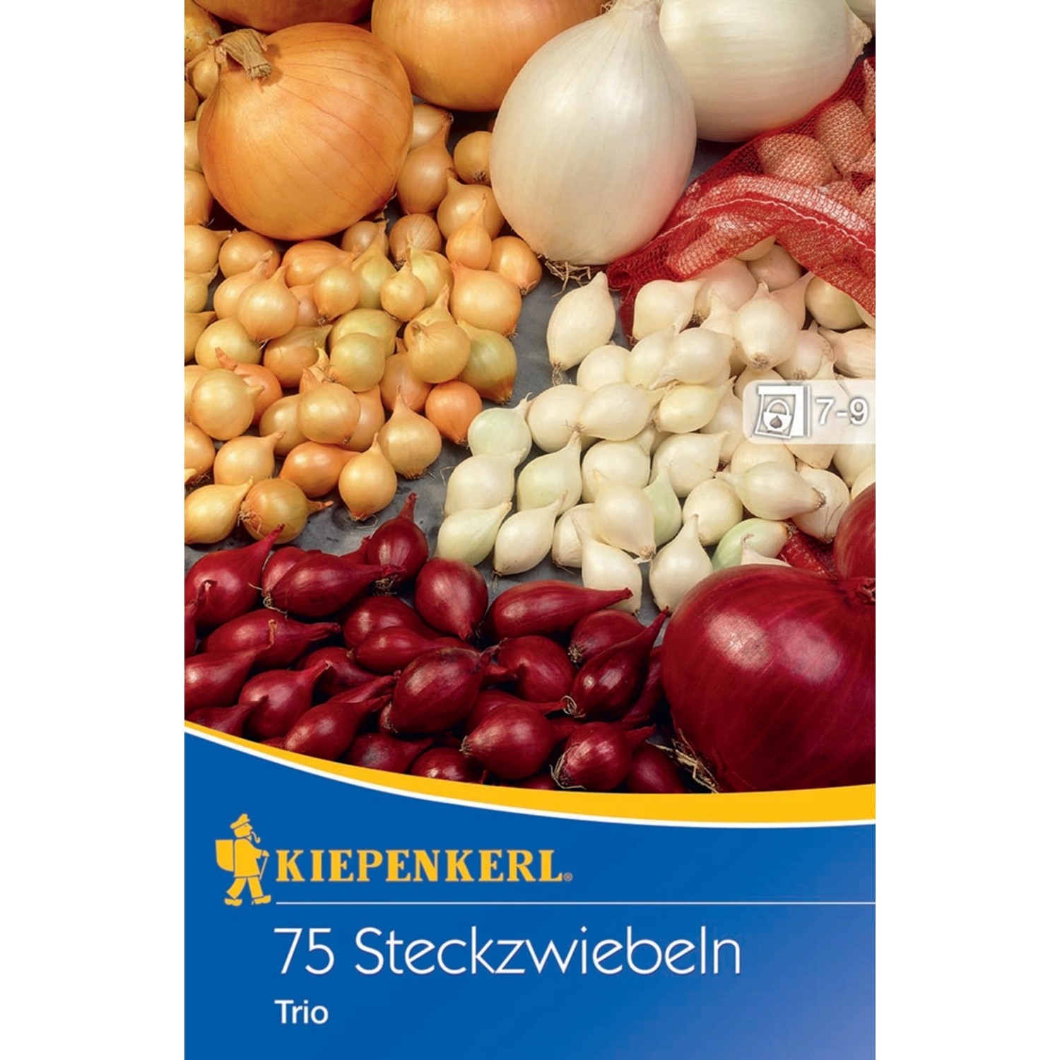 Steckzwiebeltrio 75 Stück "Stuttgarter Riesen Rote und Weiße