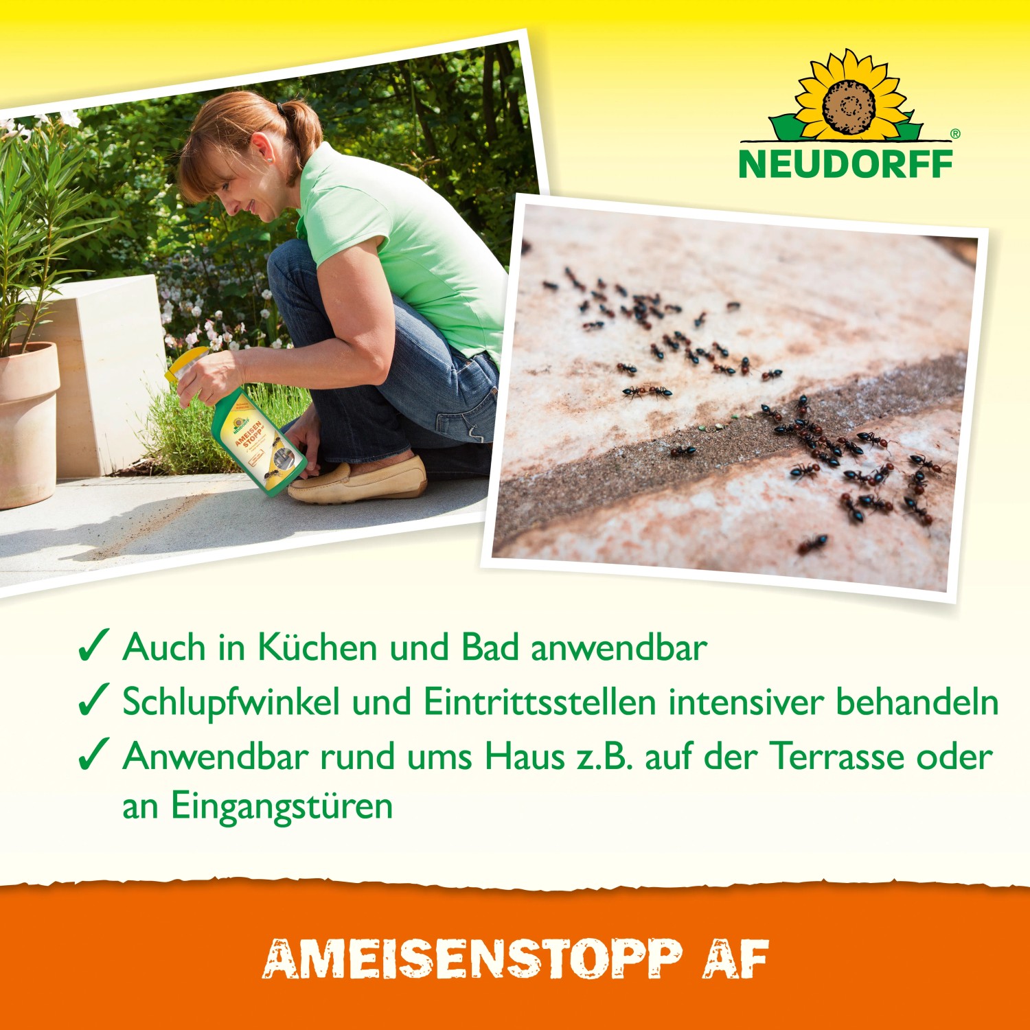 Neudorff Ameisenstopp AF: Frau sprüht Ameisenmittel gegen Ameisen auf der Terrasse.