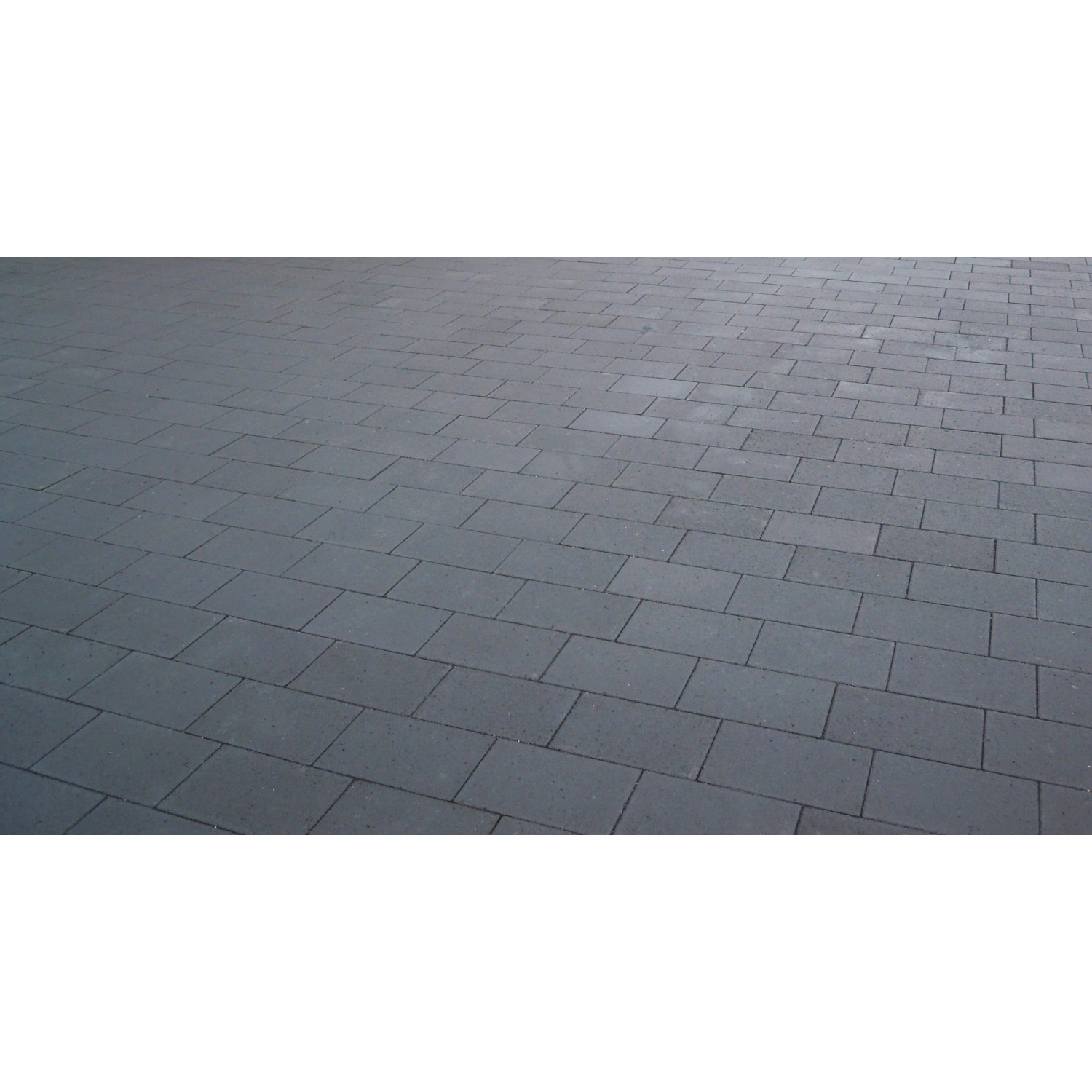 EHL Pflasterstein Veria Anthrazit 20 cm x 30 cm x 8 cm kaufen bei OBI