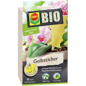 Compo BIO Gelbsticker, 10er Packung zur Schädlingsbekämpfung an Zierpflanzen.