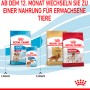 Royal Canin Medium Puppy Trockenfutter für Welpen, verschiedene Packungen und Altersstufen.
