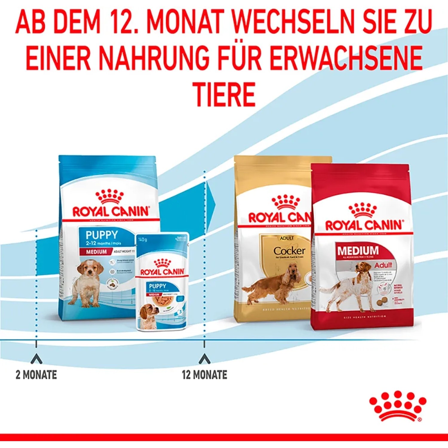 Royal Canin Medium Puppy Trockenfutter für Welpen, verschiedene Packungen und Altersstufen.