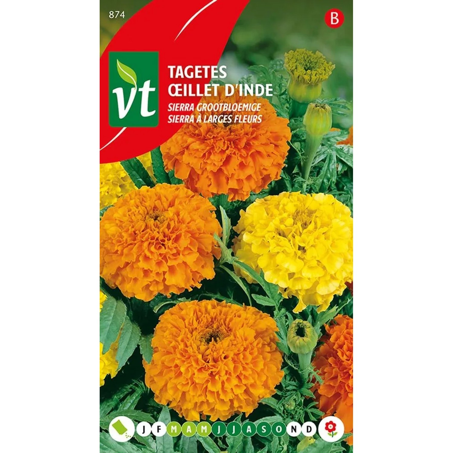 Tagetes 'Sierra Orange-Gelb' Samen Circa 1 g Große Orange-gelbe Blüten