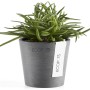 Ecopots Pflanztopf Amsterdam Mini, grau, 8 cm, mit grüner Pflanze.