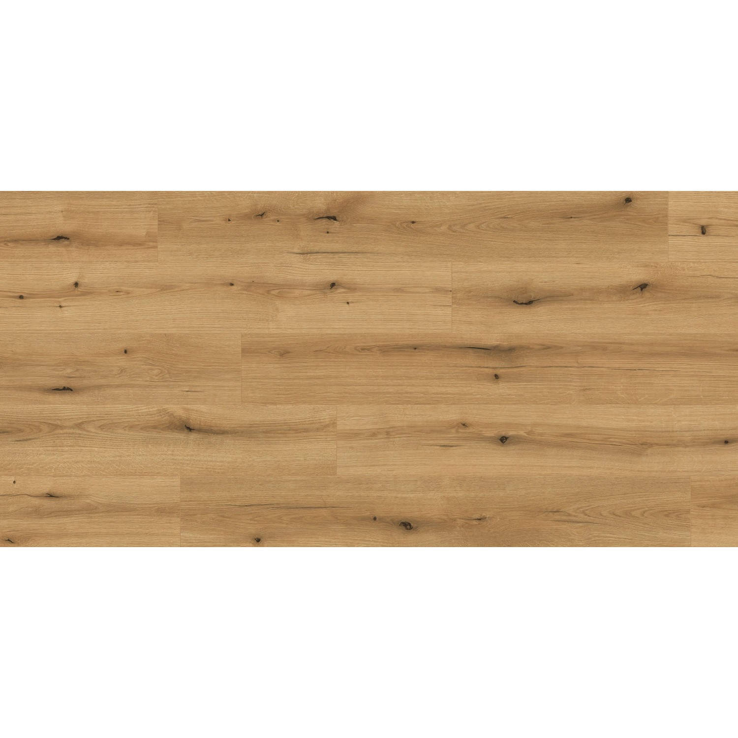 Kaindl Excellent Aqua Laminat 8 mm Wasserfest Eiche Evoke Coast