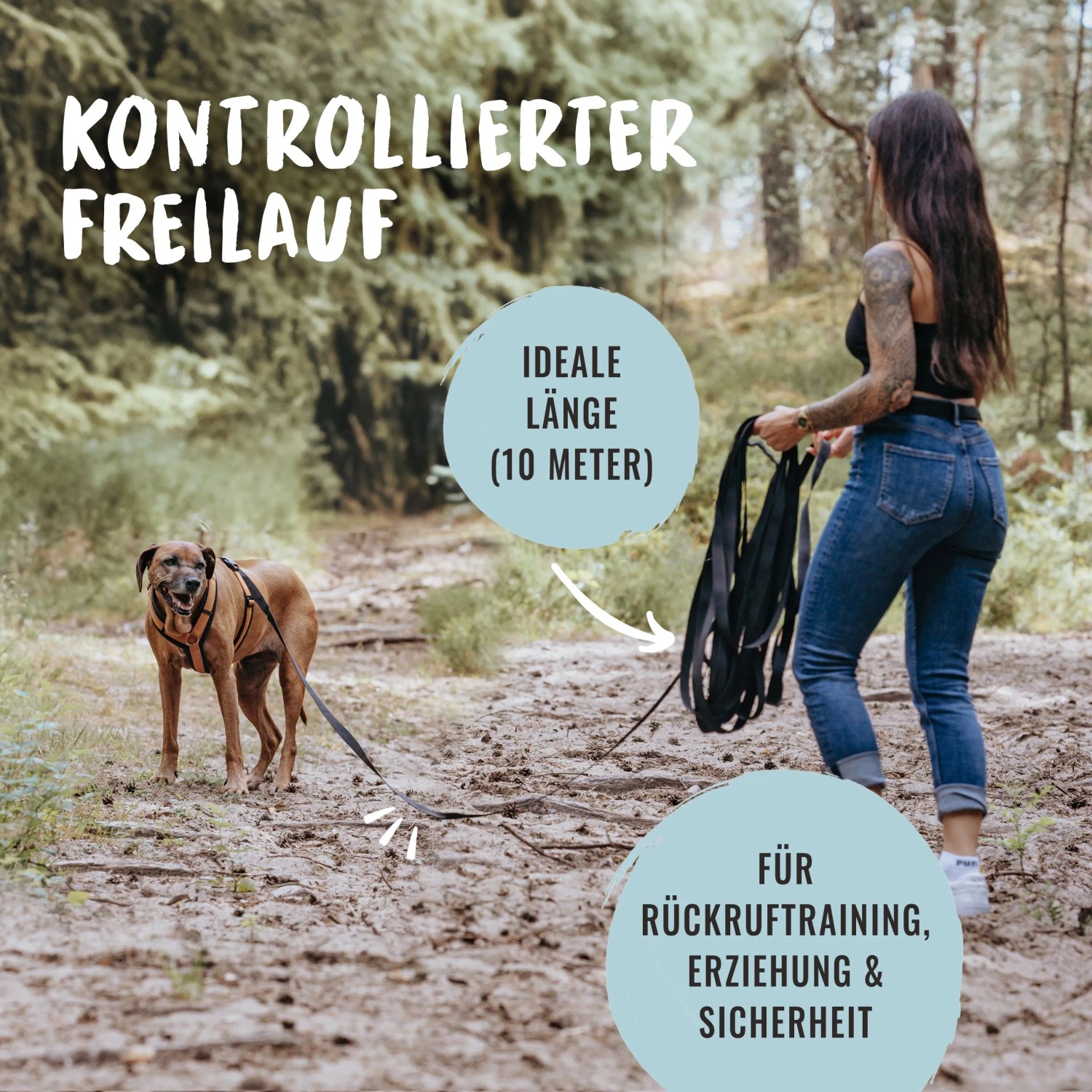 Hund mit Rudelkönig Schleppleine (10 m) beim Training im Wald. Nylon, 2,5 cm breit.