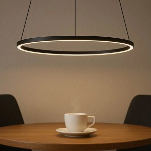 EASYLIGHT LED Pendelleuchte Ring Ø 45 cm Schwarz 4000 K 600 lm Metall