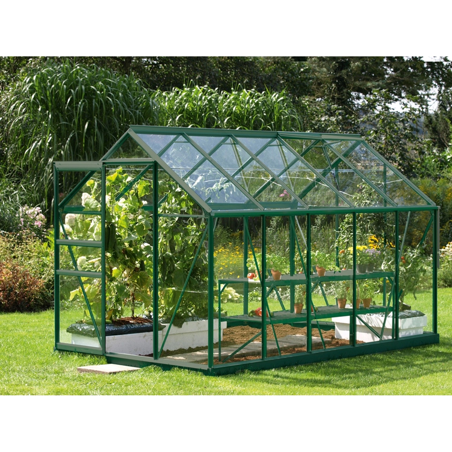 Vitavia Gewächshaus Venus 6200 ESG 3 mm Grün 6,2 m²