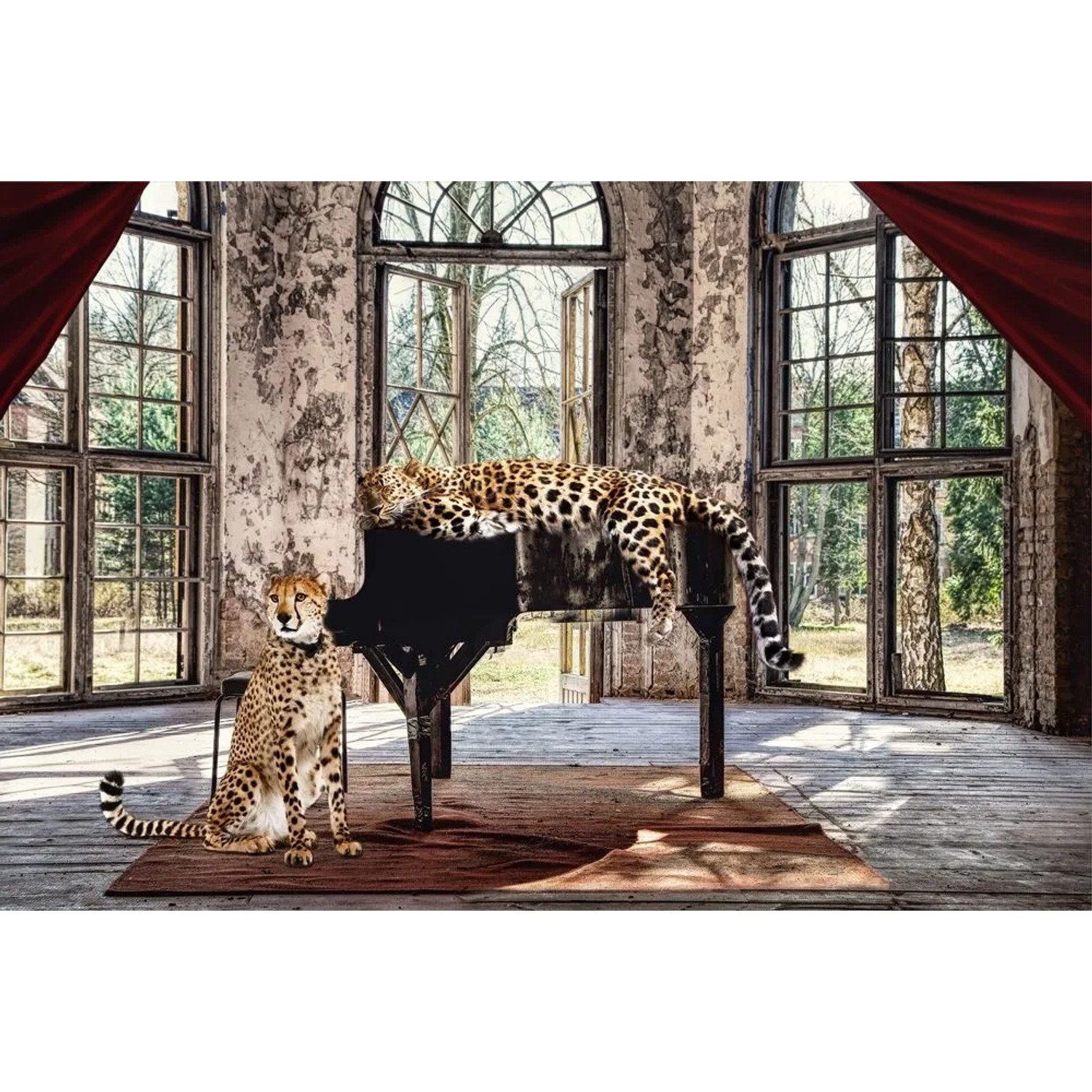 Art Universe Glasbilder Wild Music Cats 80 x 120 cm