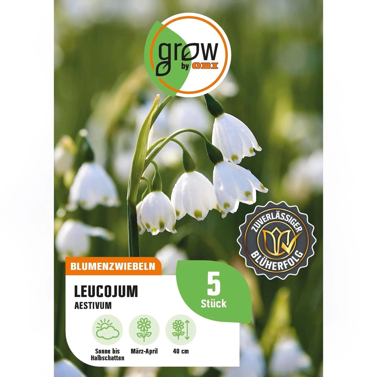 GROW by OBI Leucojum Aestivum Weiß 5 Stück