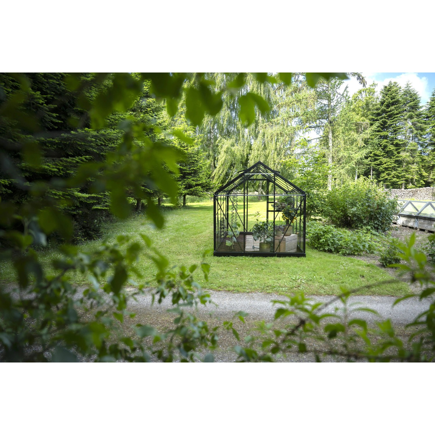 Schwarzes Halls Gewächshaus Popular 6,2 m² im Garten, ideal für Pflanzenzucht.
