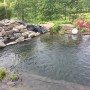 Gartenteich mit schwarzer Aquagart PVC Teichfolie, Steinen und Bepflanzung.