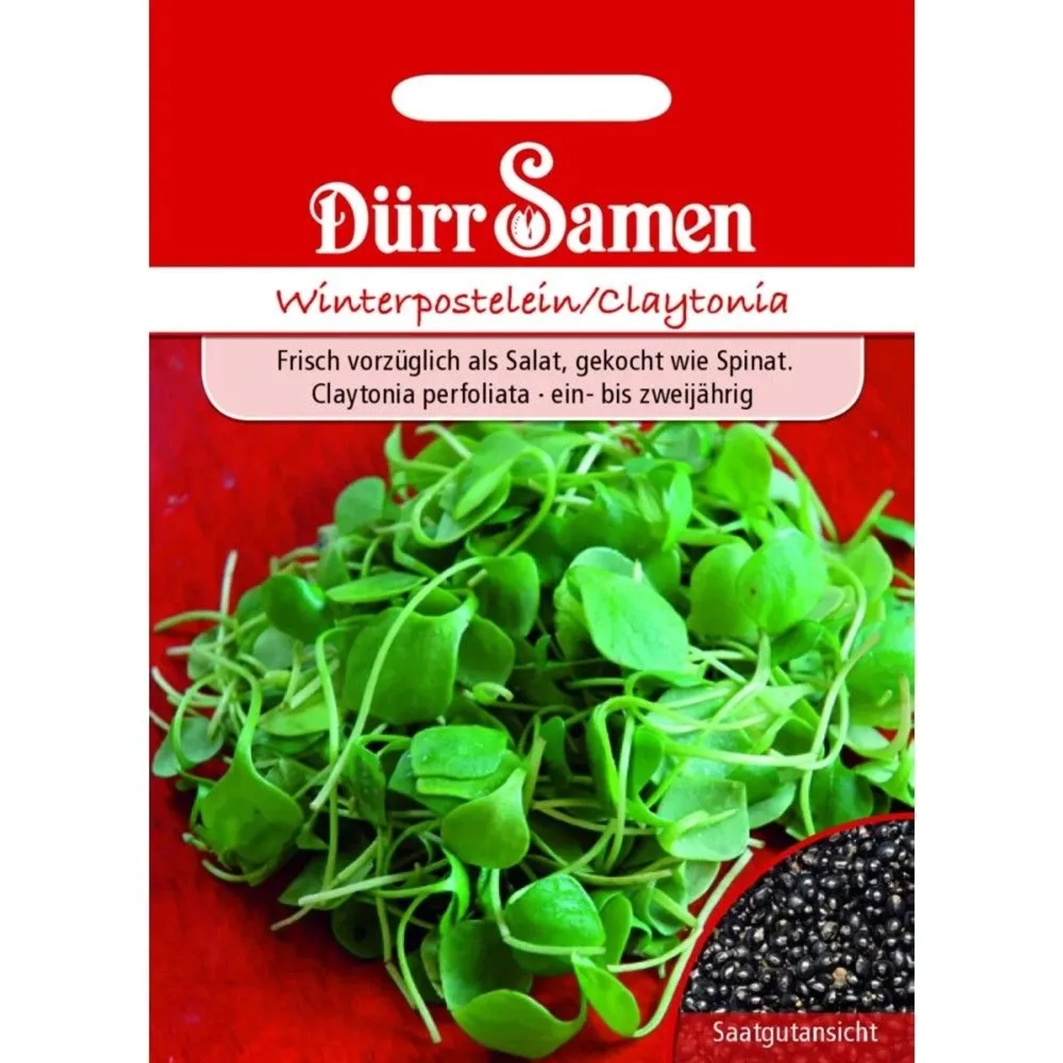 Dürr Samen Winterpostelein Saatgut