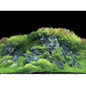 Hobby Aquariumrückwand: Detailreiche Unterwasserlandschaft mit grünen Pflanzen und Felsen. Schafft Tiefenwirkung.