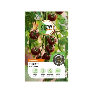 GROW by OBI Tomaten Black Cherry Samenpackung mit reifen, dunkelroten Tomaten am Strauch.