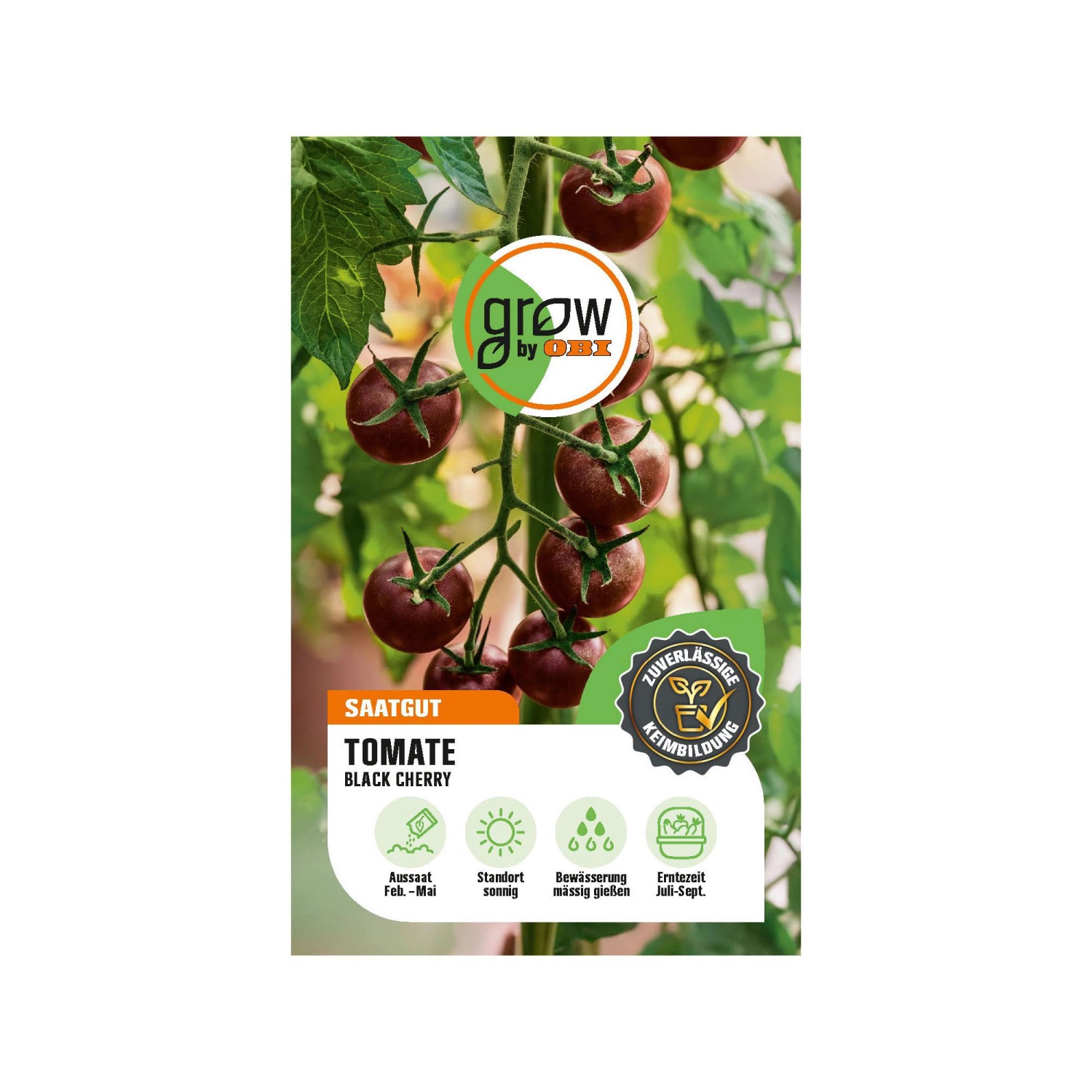GROW by OBI Tomaten Black Cherry