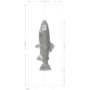 ESTAhome Fototapete mit Fischmotiv in Schwarz-Weiß, 1x2,5m. Wanddeko für Wohnraum.