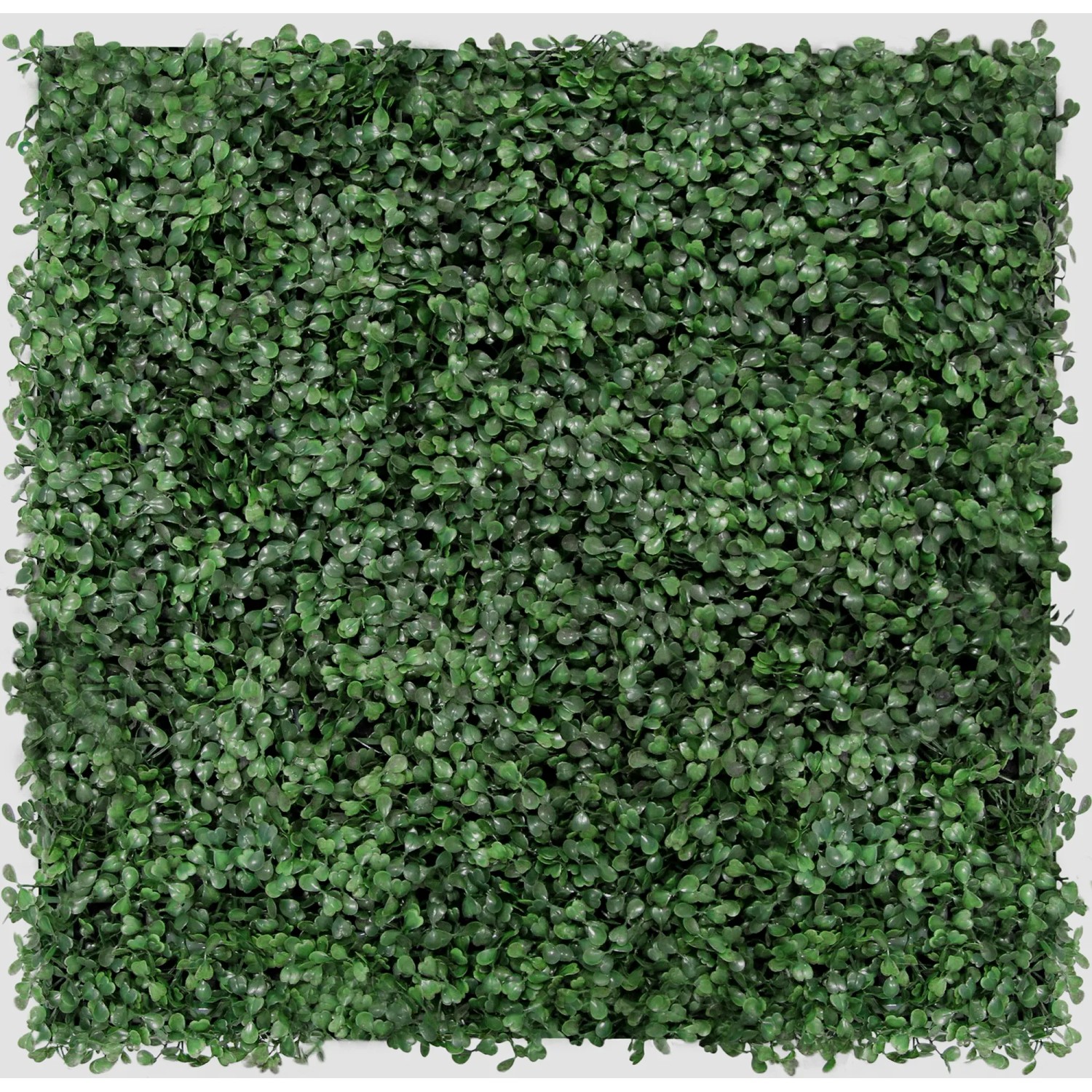 Jangal Wandpaneel Modular Wall Dark Green Design Buxus 52 x 52 cm