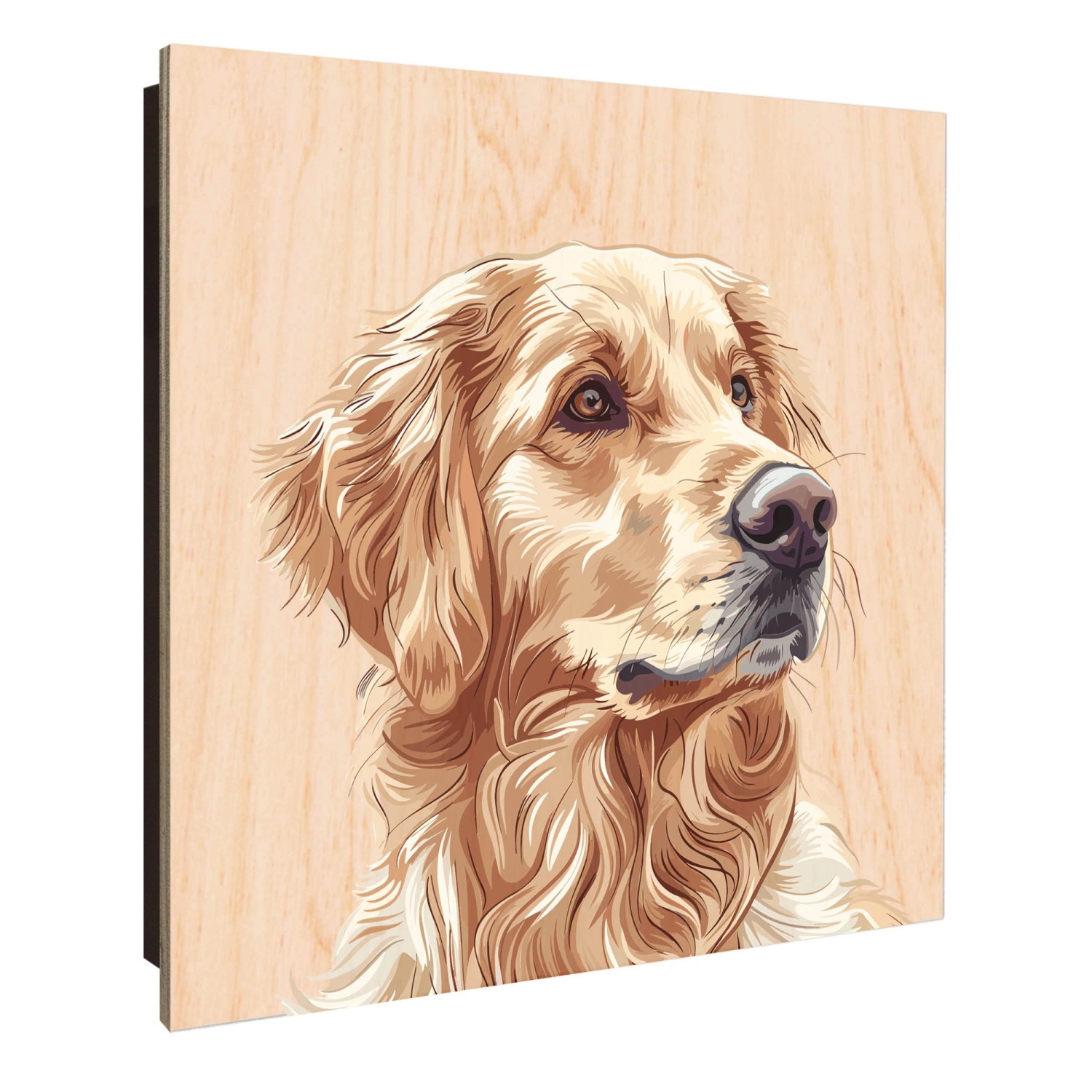 Banjado Großer Schlüsselkasten Holz 30x30cm Schwarz Scharnier Links 50 Hake günstig online kaufen