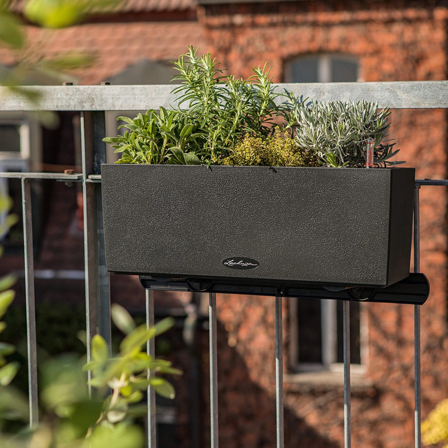 Graphitschwarzer Lechuza Balconera Stone 50 Blumenkasten mit Bepflanzung am Balkongeländer.