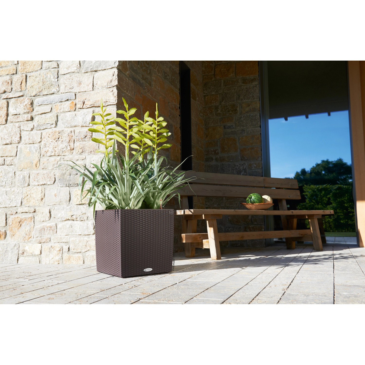 Lechuza Cube Cottage Pflanzgefäß, 40x40 cm, Mokka, mit Bepflanzung vor Hauswand.