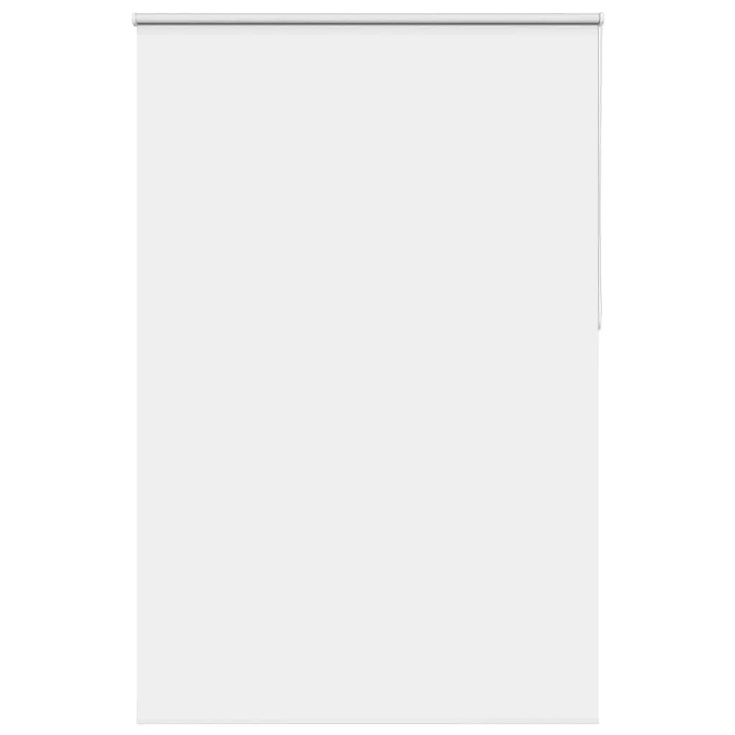 vidaXL Verdunkelungsrollo Weiß 165x210cm Stoffbreite 161,6cm Polyester 4011973