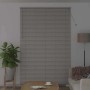 vidaXL Balkenjalousien mit Vorhängen Silber 220x150cm Aluminium 42005957_3