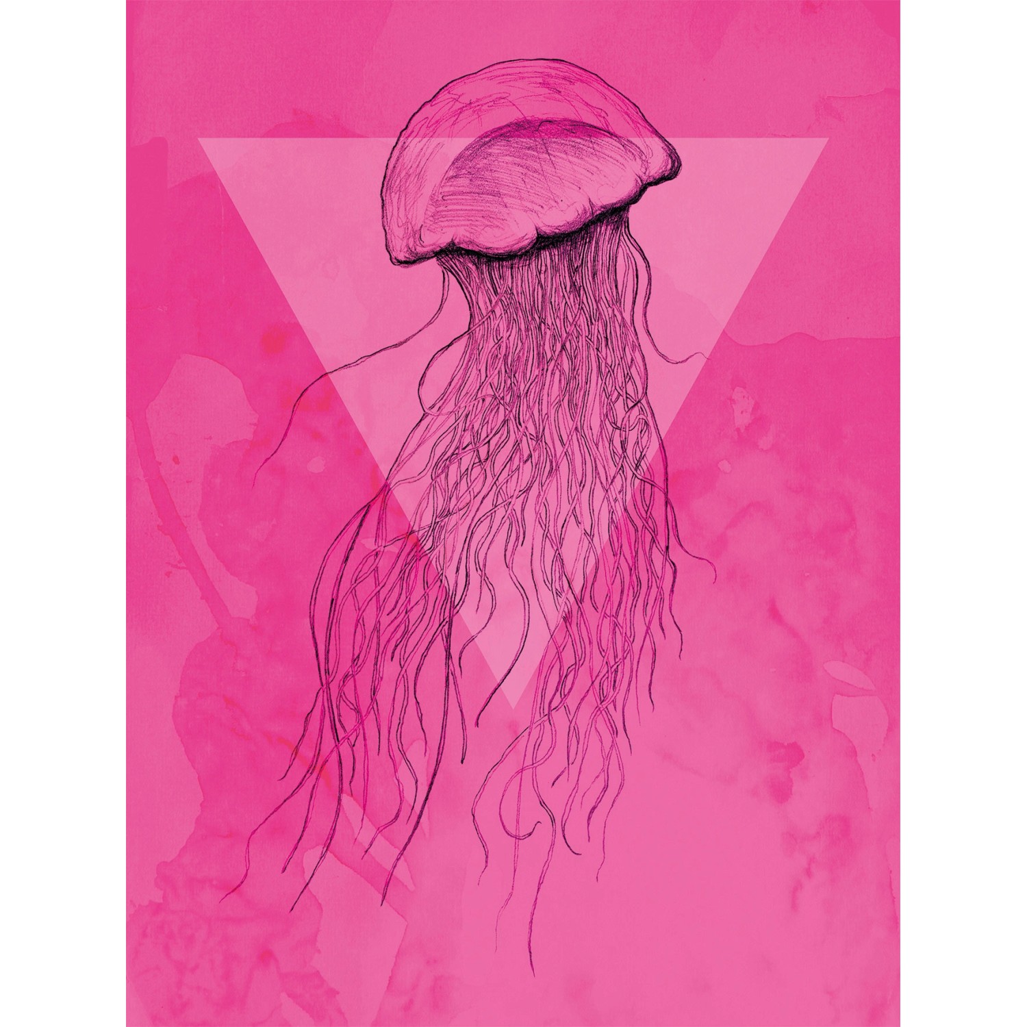 Komar Wandbild Jellyfish Pink 30 x 40 cm