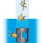 Acqua Arte Fischsäule: Teichdekoration mit Fischen in einer transparenten Säule.