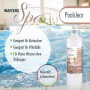 Bayzid Spa Poolclear Trübungsbeseitigung, 6 x 1l Flasche vor Pool. Für klares Wasser im Whirlpool.