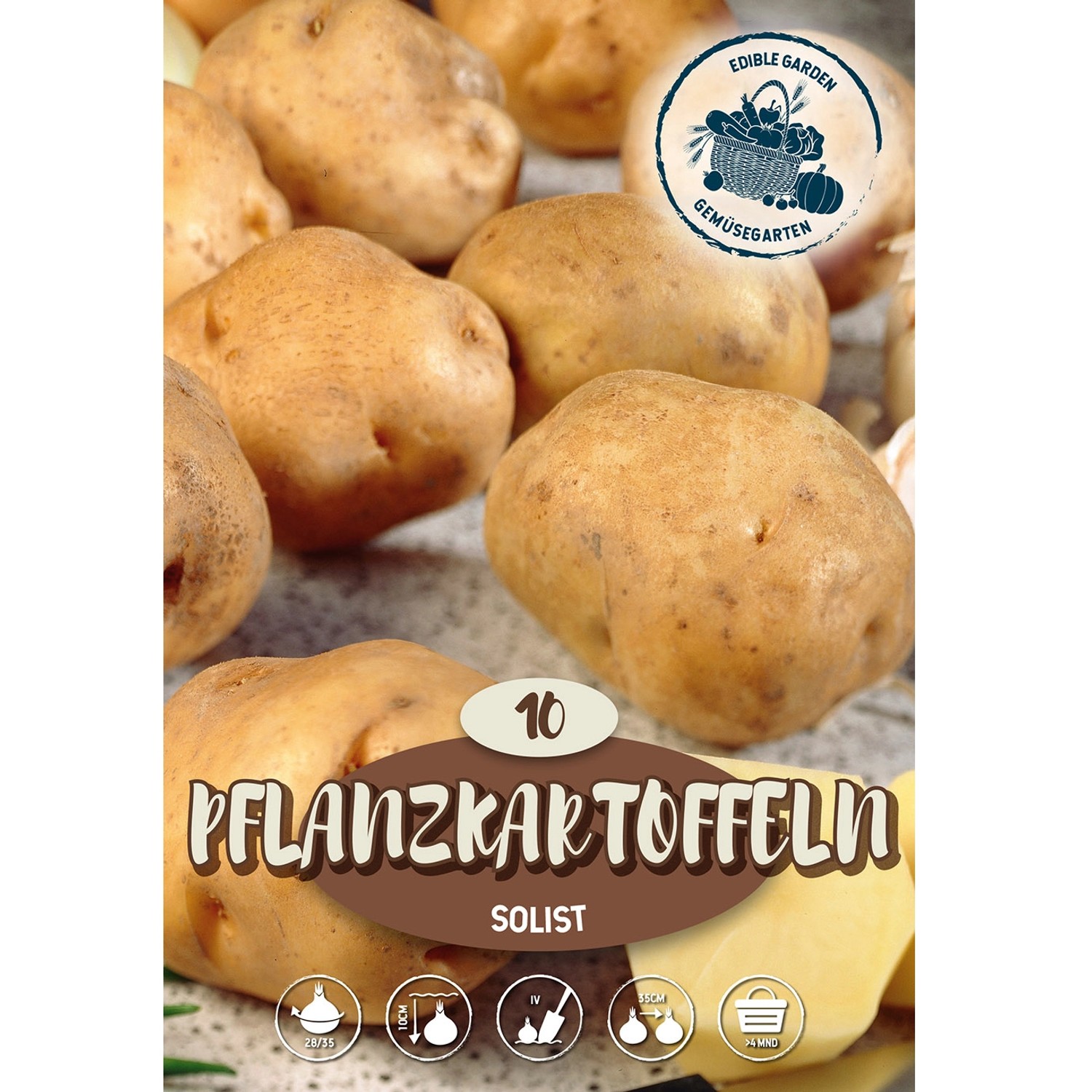 Pflanzkartoffeln ''Frieslander'' 10 Stück Braun Solanum tuberosum