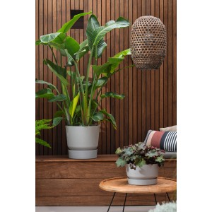 Elho Greenville Pflanzgefäß, rund, Ø 40 cm, weiß, mit Pflanzen im Außenbereich.