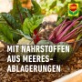 Gemüsekorb mit COMPO Bio NaturDünger Guano Inhaltsstoffen.