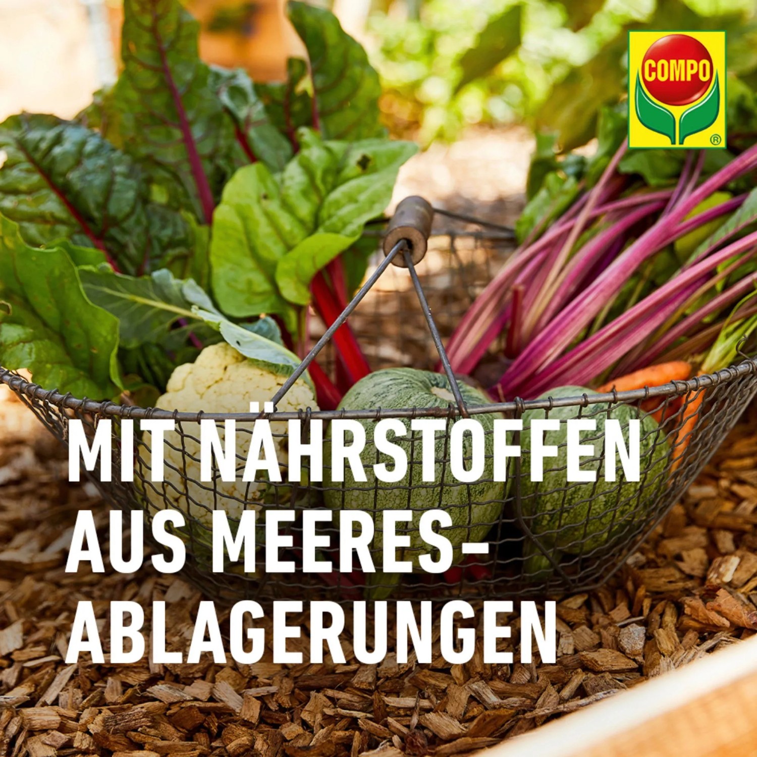 Gemüsekorb mit COMPO Bio NaturDünger Guano Inhaltsstoffen.