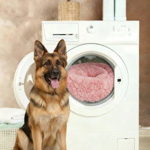 Benno Hundebett Balu Donut 50x50x16 Cm Rose
