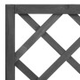 Detailaufnahme des schwarzen DELUKE Rankkastens MALO mit Gartenspalier und Rankgitter.