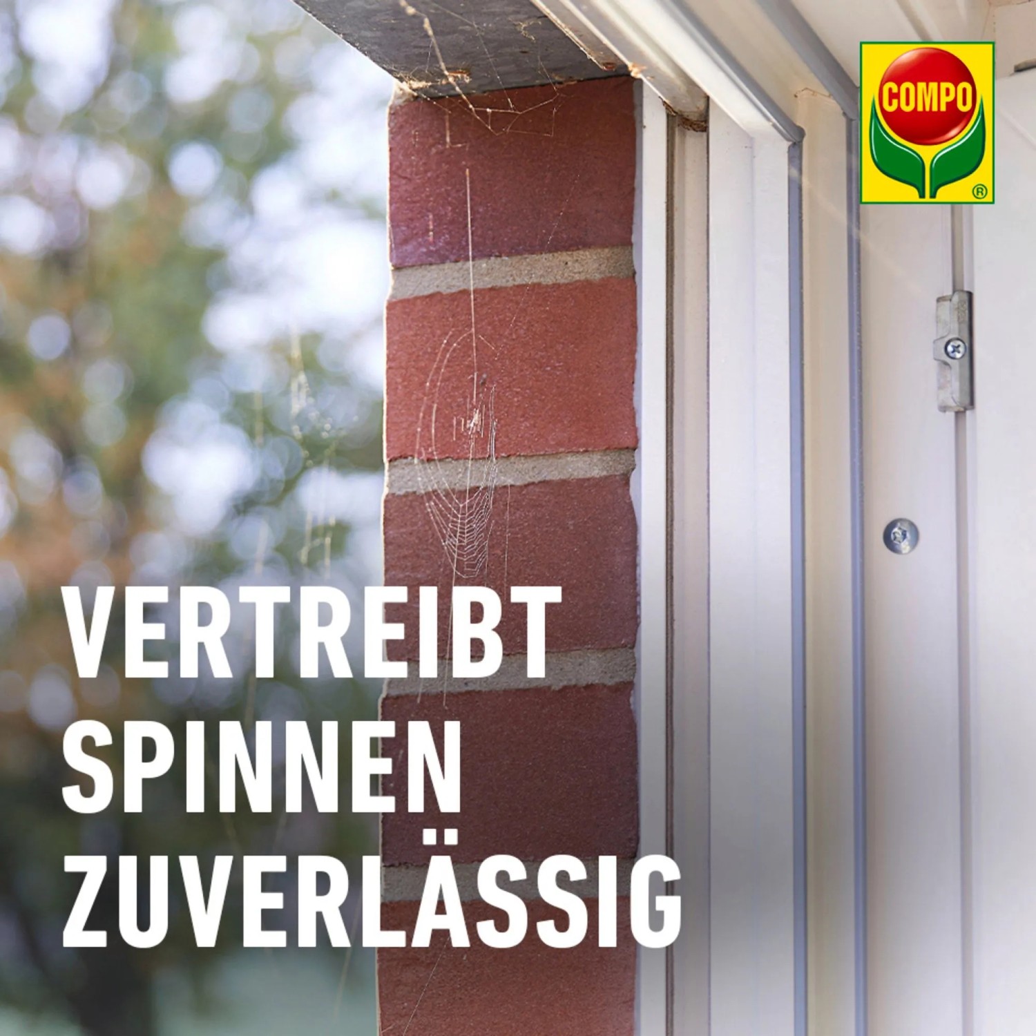 Compo Spinnen-Raus Spray: Detailaufnahme einer Hauswand mit Spinnennetz am Fensterrahmen.