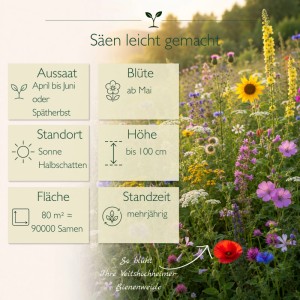 Buntes Blumenfeld der Veitshöchheimer Bienenweide mit Infos zu Aussaat, Blüte, Standort, Höhe, Fläche, Standzeit.