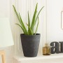 Poétic Pflanztopf Schiefer, Ø 24cm, mit Aloe Vera Pflanze im Innenraum.