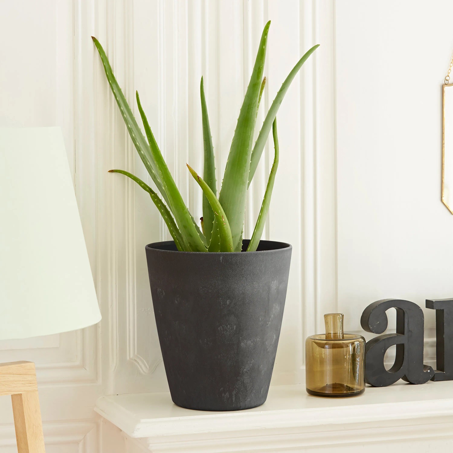 Poétic Pflanztopf Schiefer, Ø 24cm, mit Aloe Vera Pflanze im Innenraum.
