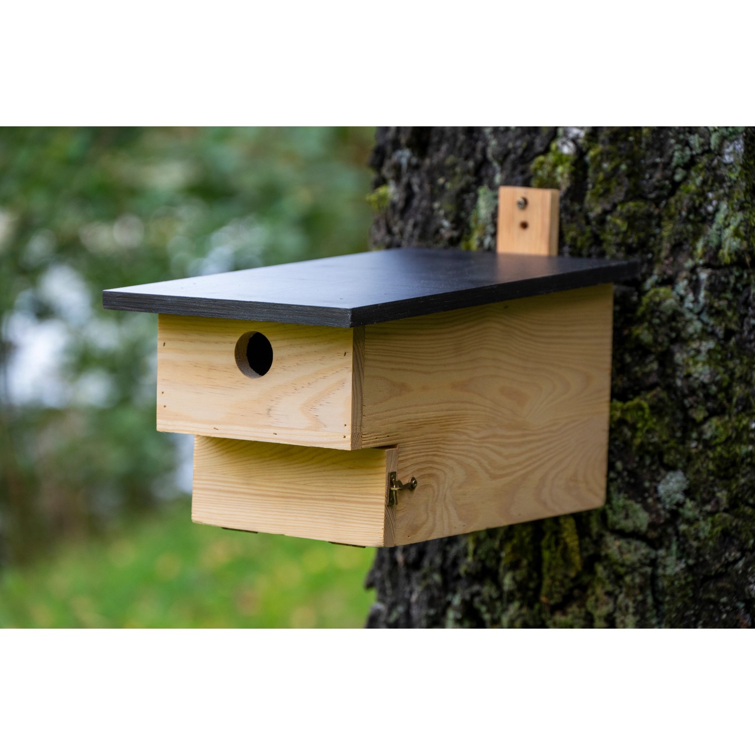 Dobar Nistkasten für Höhlenbrüter aus Kiefernholz (FSC®) an Baum befestigt.