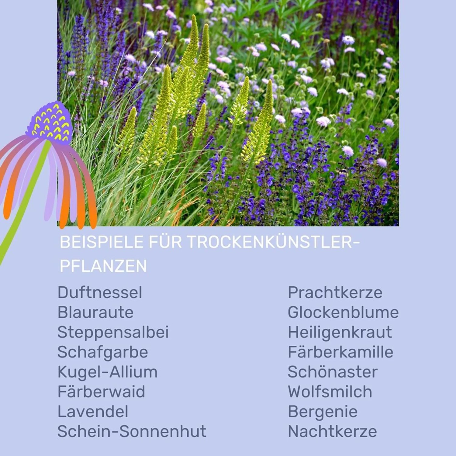 Weco Mineralischer Mulch Kalkstein 8 - 16 mm Grau 25 kg_5